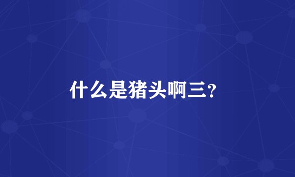 什么是猪头啊三？