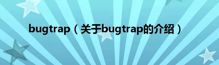 bugtrap（关于bugtrap的介绍）
