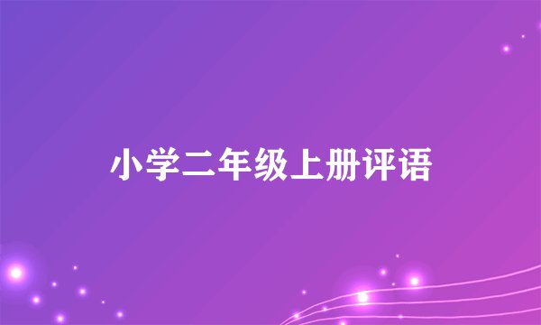 小学二年级上册评语