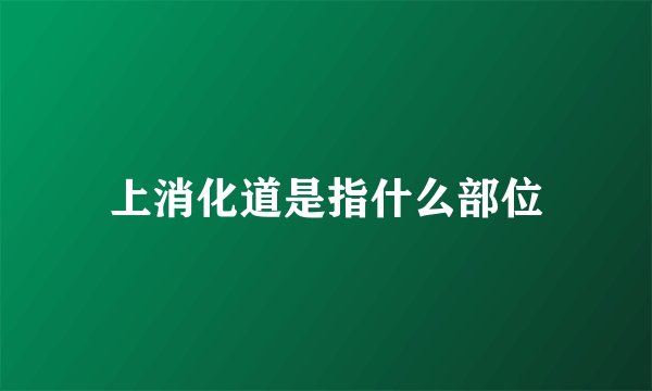 上消化道是指什么部位
