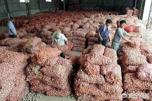 2019年会不会重现当年的“蒜你狠”?