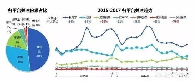 国内最大的视频平台