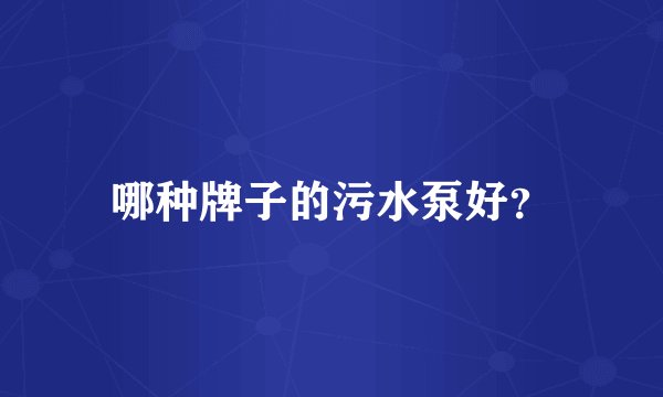 哪种牌子的污水泵好？