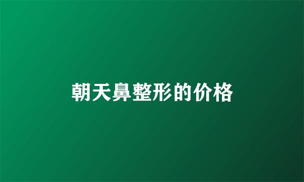朝天鼻整形的价格