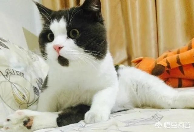 大家对祁天道犯诈骗罪这件事怎么看?