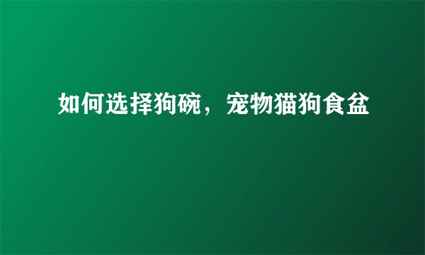 如何选择狗碗，宠物猫狗食盆