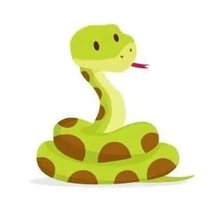 印度一名男子与蛇互咬中毒身亡,如何分辨毒蛇?