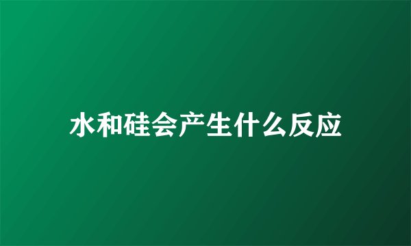 水和硅会产生什么反应