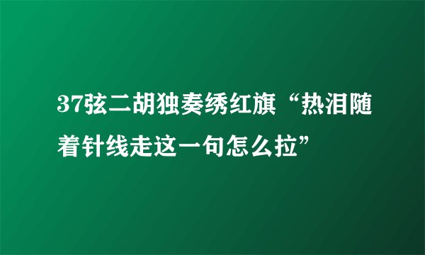37弦二胡独奏绣红旗“热泪随着针线走这一句怎么拉”