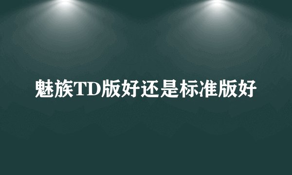 魅族TD版好还是标准版好