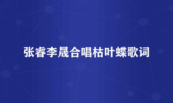 张睿李晟合唱枯叶蝶歌词
