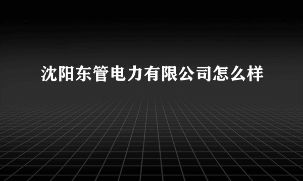 沈阳东管电力有限公司怎么样