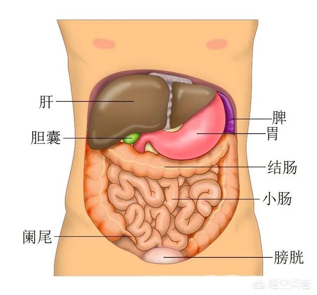 为什么有些溺水死亡的人被人拉上来胳膊和腿都是卷曲着的?