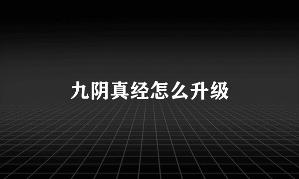 九阴真经怎么升级