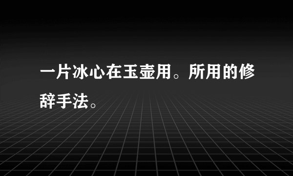 一片冰心在玉壶用。所用的修辞手法。