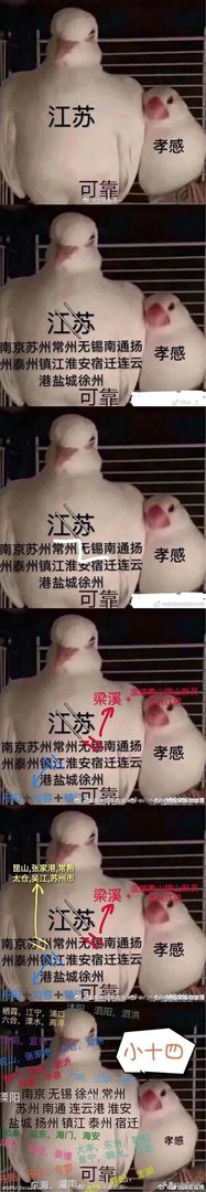 这次江苏支援孝感的战役,为什么不是一起出发,而是各自为战?