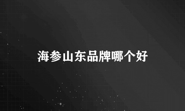 海参山东品牌哪个好