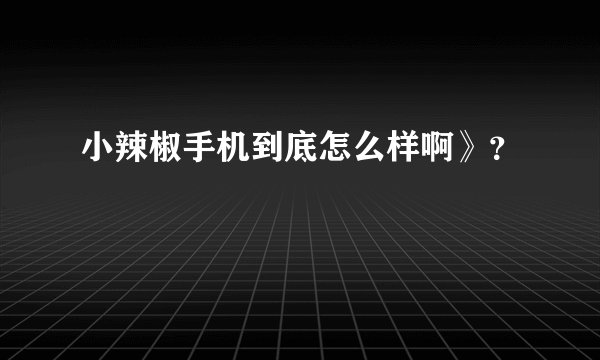 小辣椒手机到底怎么样啊》?