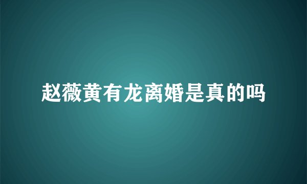 赵薇黄有龙离婚是真的吗