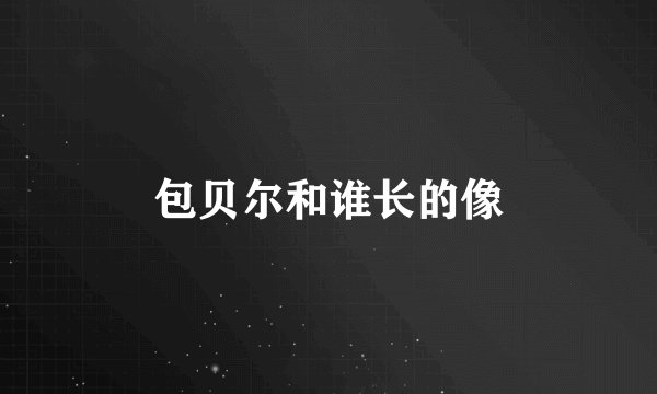 包贝尔和谁长的像