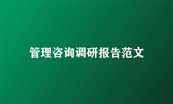 管理咨询调研报告范文