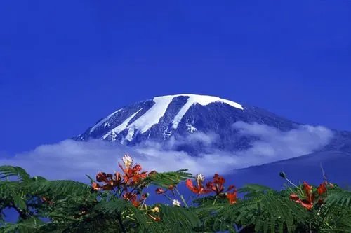 “非洲之巅”乞力马扎罗山发生火灾！目前当地状况如何了？