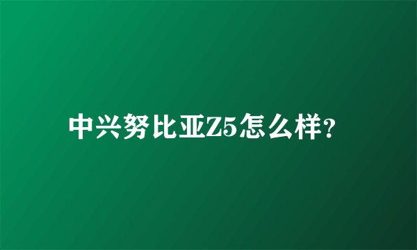 中兴努比亚Z5怎么样？