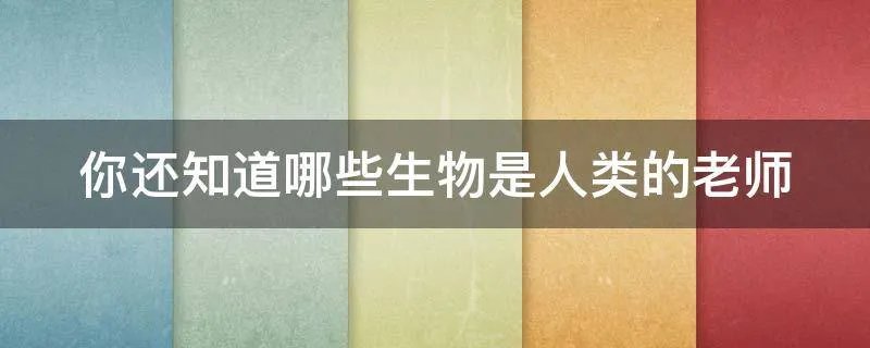你还知道哪些生物是人类的老师