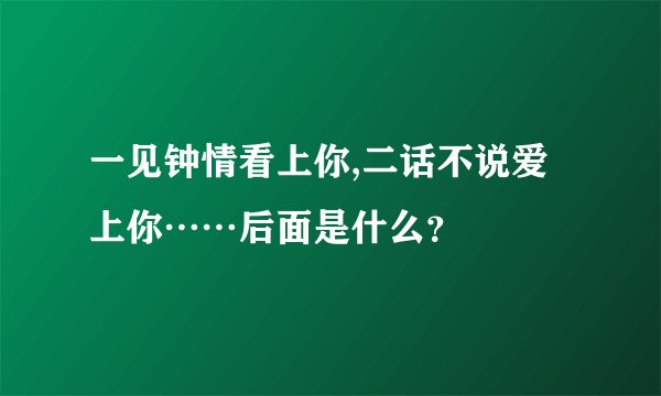 一见钟情看上你,二话不说爱上你……后面是什么？