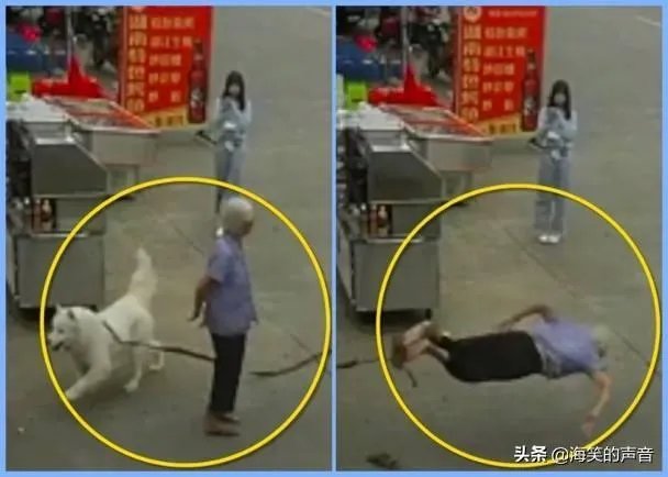 为什么佛山88岁老人被狗绊倒家属不追责?如何去理解这种做法?