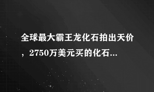 全球最大霸王龙化石拍出天价，2750万美元买的化石，到底有啥用处？