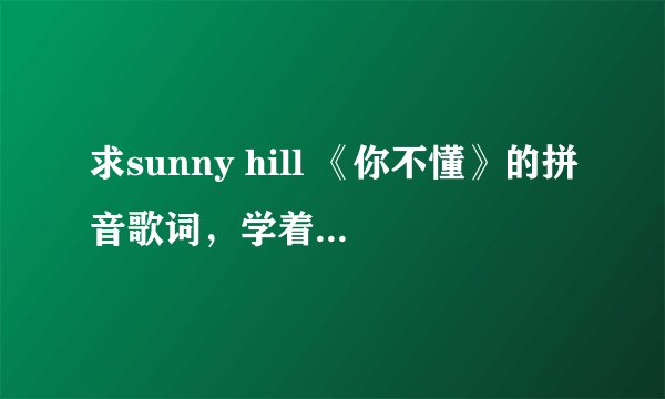 求sunny hill 《你不懂》的拼音歌词，学着唱出来。 （不是求中文大意 ！）