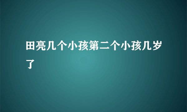 田亮几个小孩第二个小孩几岁了