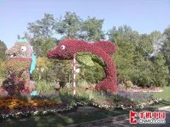 拍照效果:用事实说话