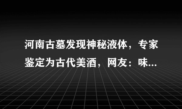 河南古墓发现神秘液体，专家鉴定为古代美酒，网友：味道怎么样？