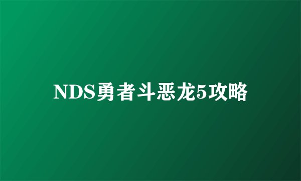 NDS勇者斗恶龙5攻略