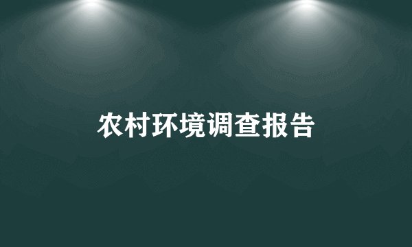农村环境调查报告