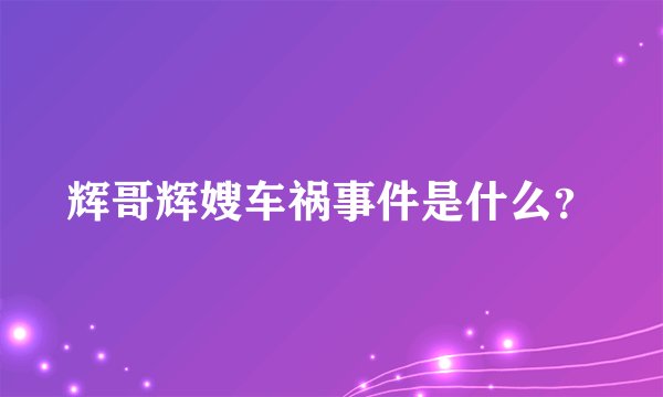 辉哥辉嫂车祸事件是什么？