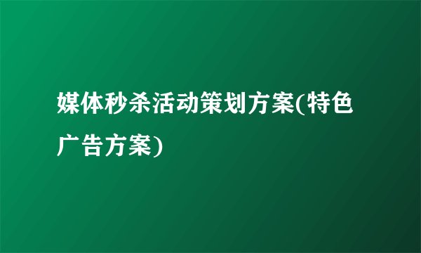 媒体秒杀活动策划方案(特色广告方案)