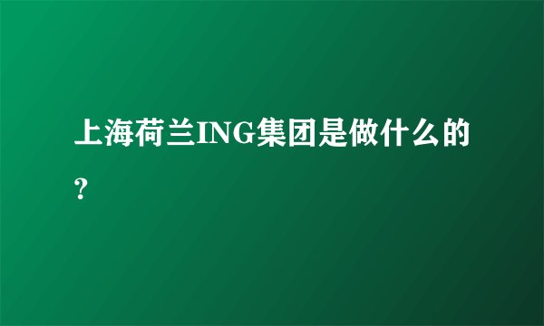 上海荷兰ING集团是做什么的？