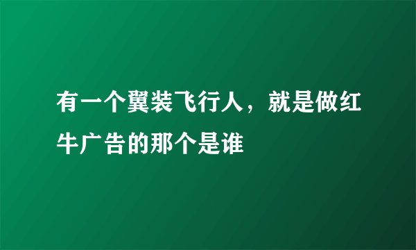 有一个翼装飞行人，就是做红牛广告的那个是谁