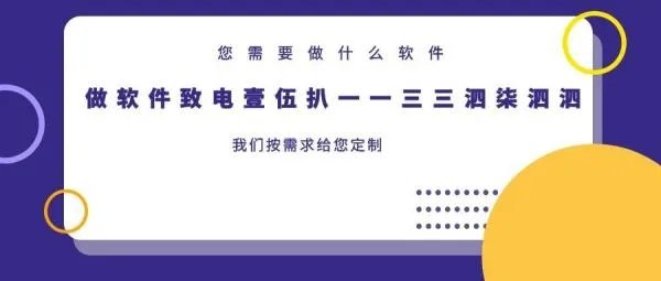 电子政务软件开发公司在国内有哪些做得专业的