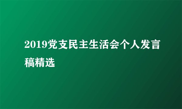 2019党支民主生活会个人发言稿精选