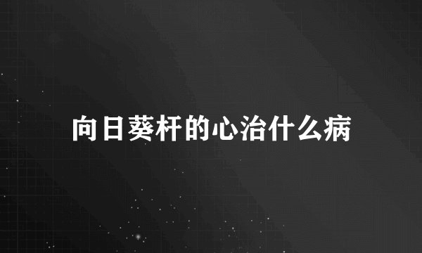 向日葵杆的心治什么病