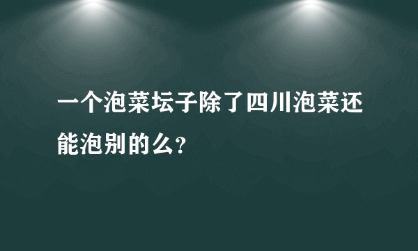 一个泡菜坛子除了四川泡菜还能泡别的么？