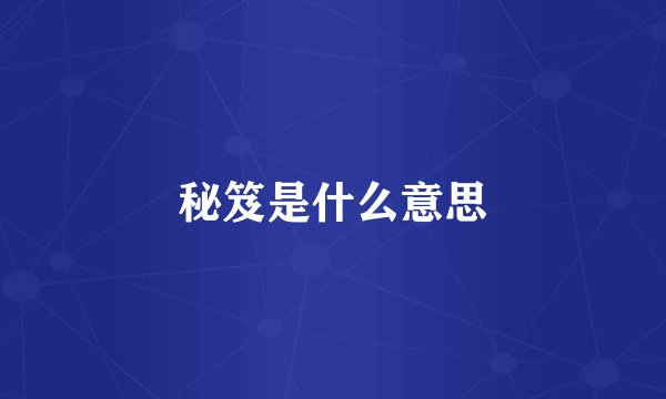 秘笈是什么意思