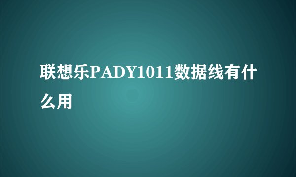 联想乐PADY1011数据线有什么用