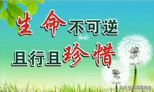 意大利又一市长狂怼市民疫情期遛狗行为,你支持还是反对?