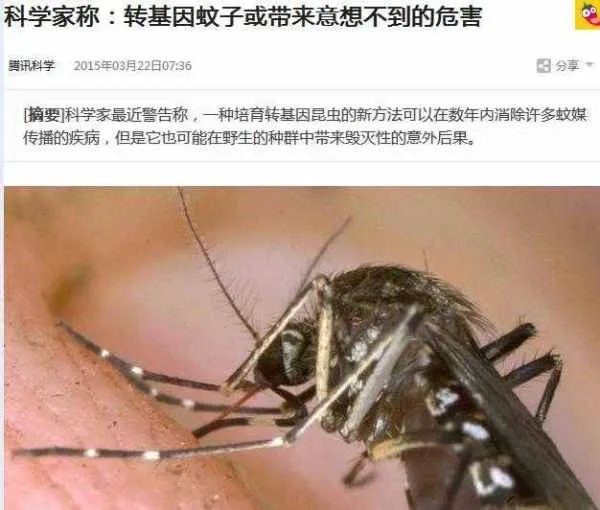 美国创造了转基因蚊子,这是否会使普通蚊子产生抗药性?