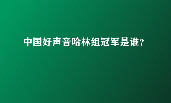 中国好声音哈林组冠军是谁？